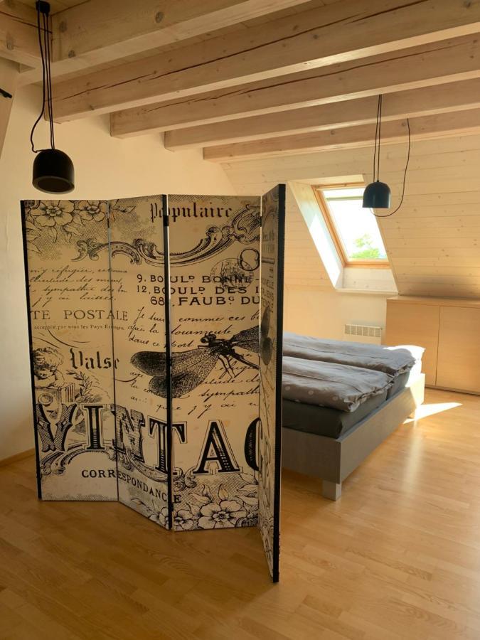 Apartment Dovolena Bez Starosti - U Venuse Pavlov